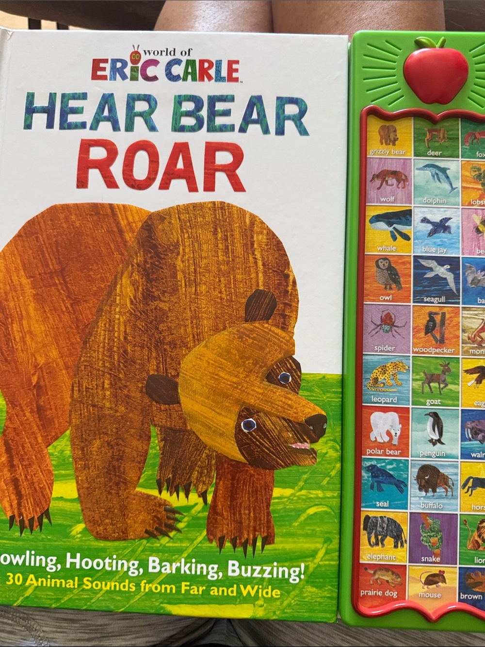 Hear Bear Roar